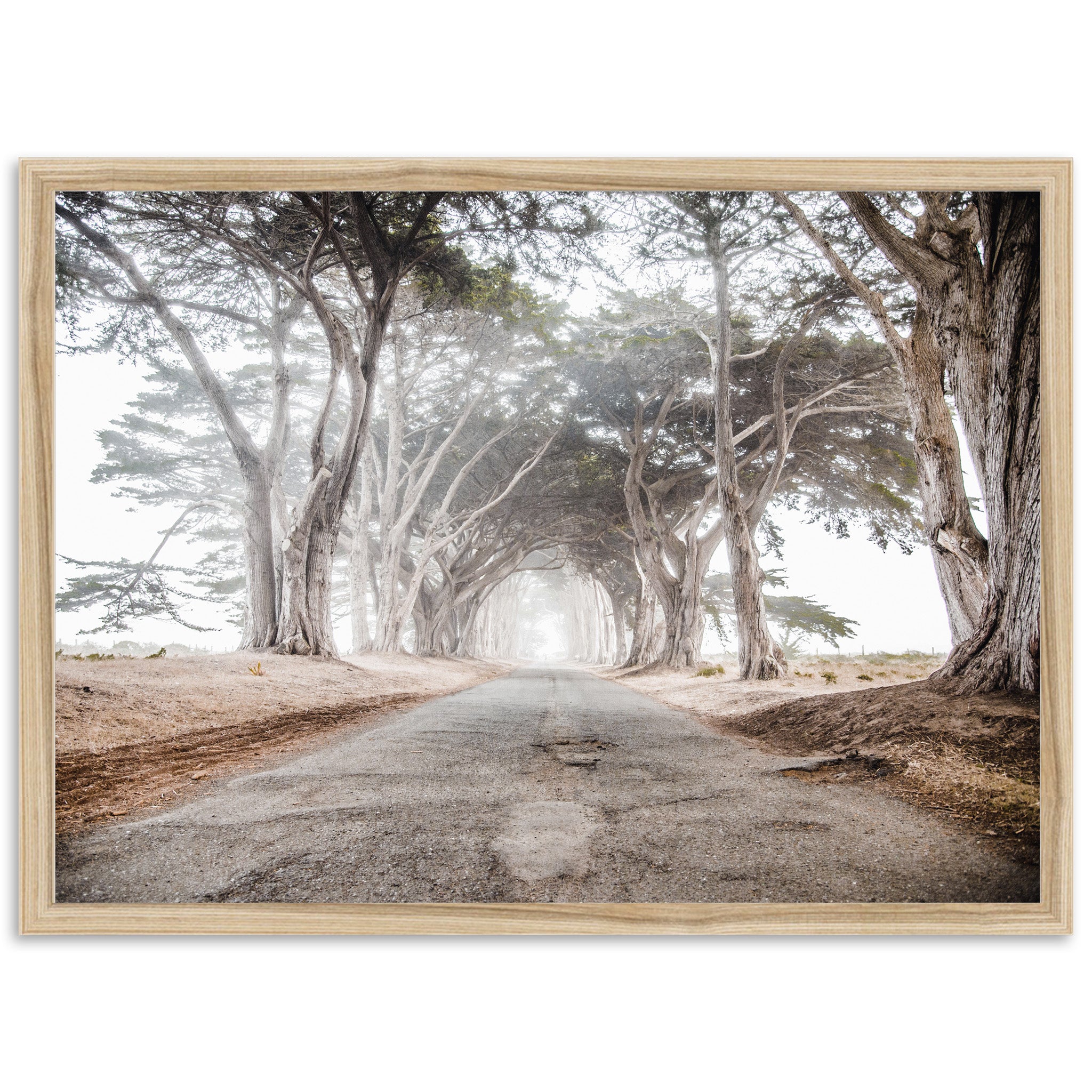 Tunnel Vision - Shutter and Frame