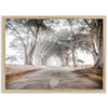 Tunnel Vision - Shutter and Frame