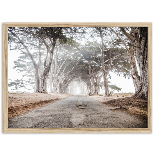 Tunnel Vision - Shutter and Frame