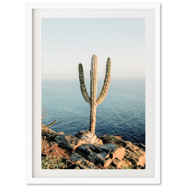 Beach Cactus - Shutter and Frame