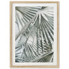 Palm Fan - Shutter and Frame