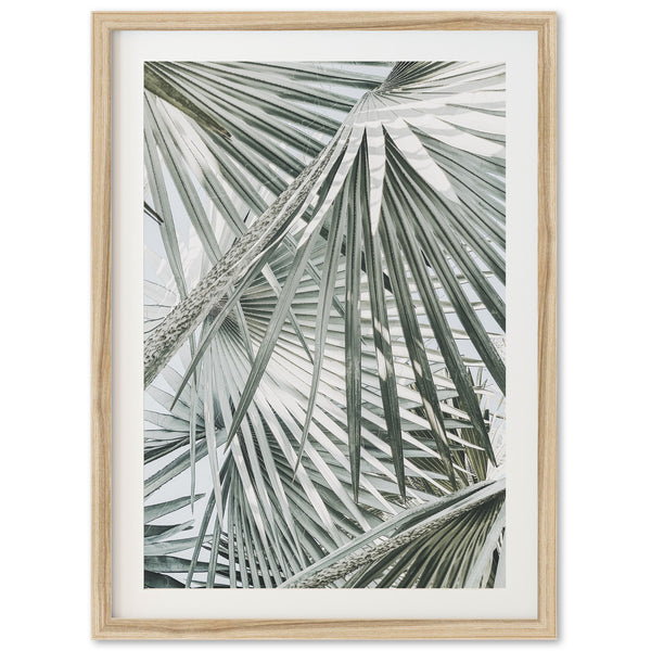 Palm Fan - Shutter and Frame