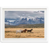 Wild Patagonia - Shutter and Frame