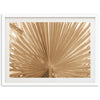 Palma - Shutter and Frame