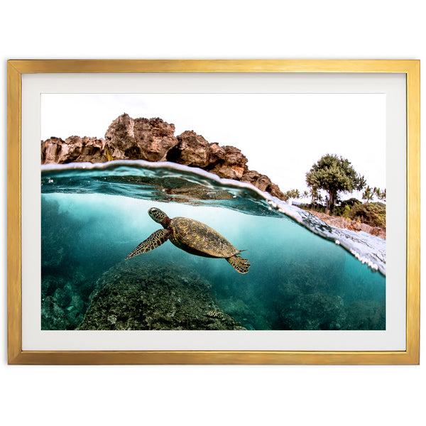 Marine Room - Shutter and Frame