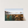 Kelp Forest - Shutter and Frame
