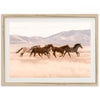 Gallop - Shutter and Frame