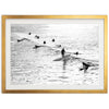 Party Wave II - Shutter and Frame