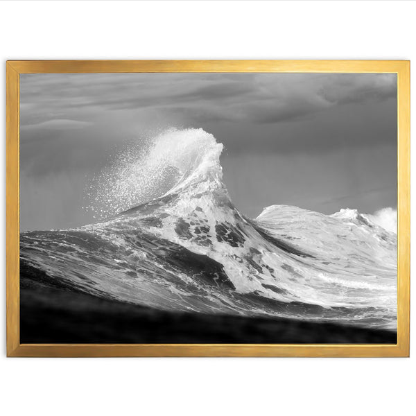 Pinnacle - Shutter and Frame