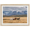 Wild Patagonia - Shutter and Frame