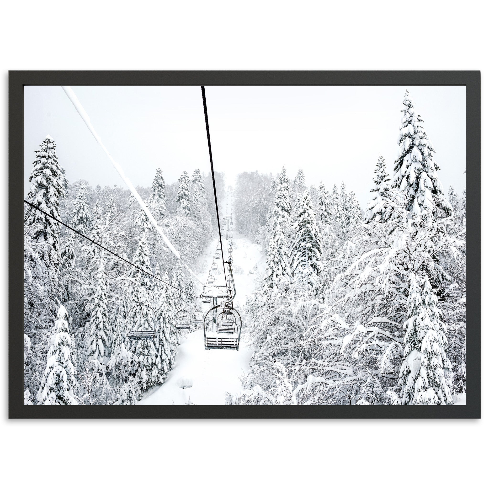 Winter Holiday - Shutter and Frame