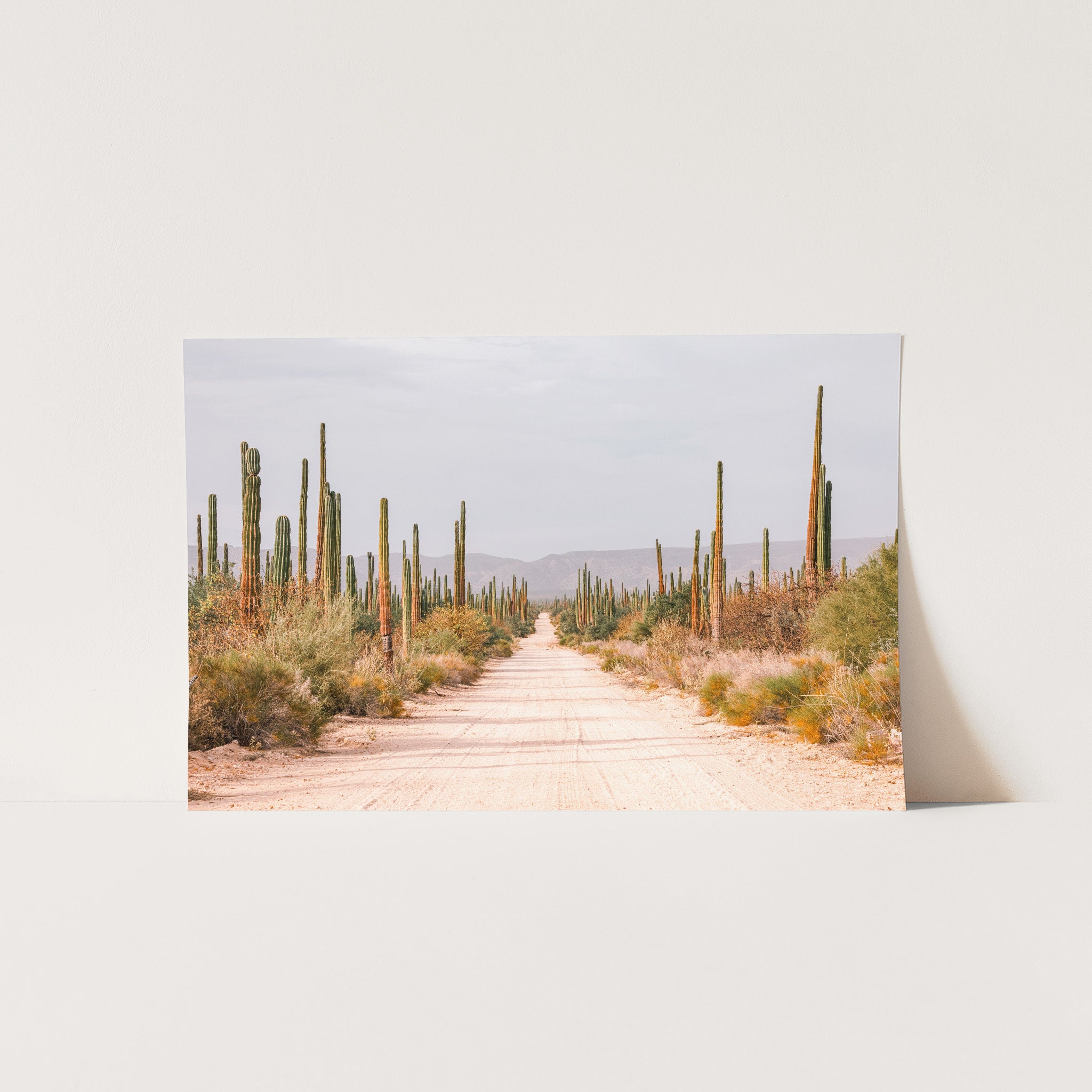 El Camino - Shutter and Frame