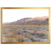 Desert Bloom - Shutter and Frame