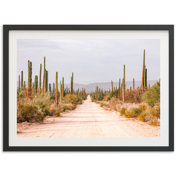 El Camino - Shutter and Frame