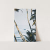 Bali - Shutter and Frame