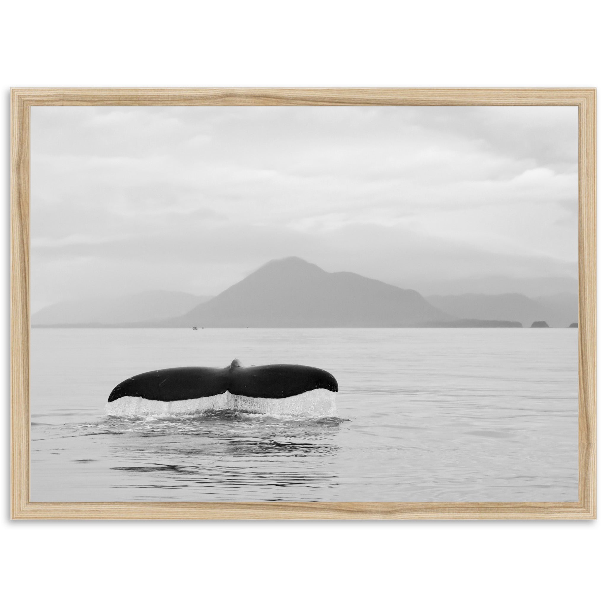 Tale of a Whale - Shutter and Frame