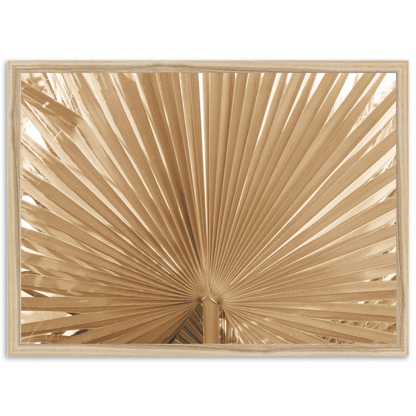 Palma - Shutter and Frame