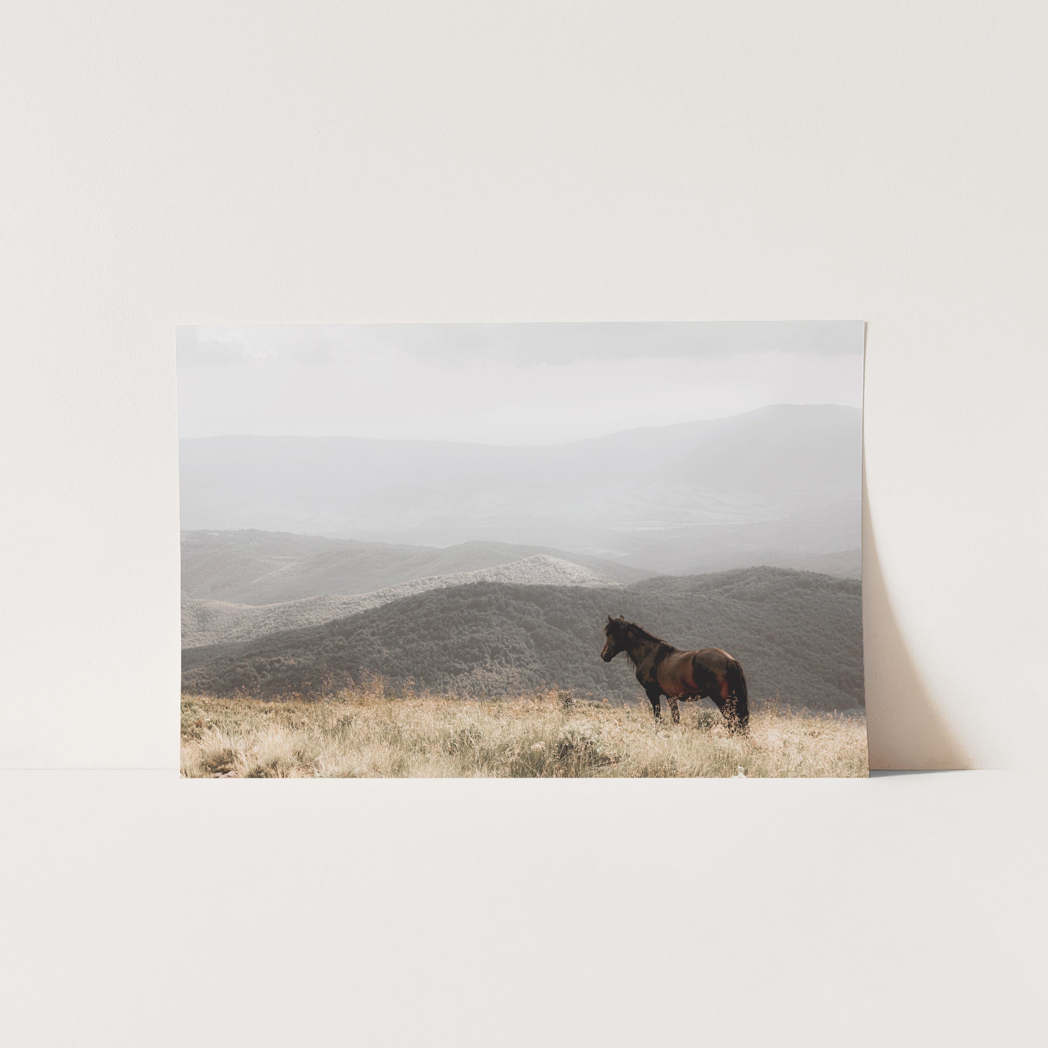 Open Range - Shutter and Frame