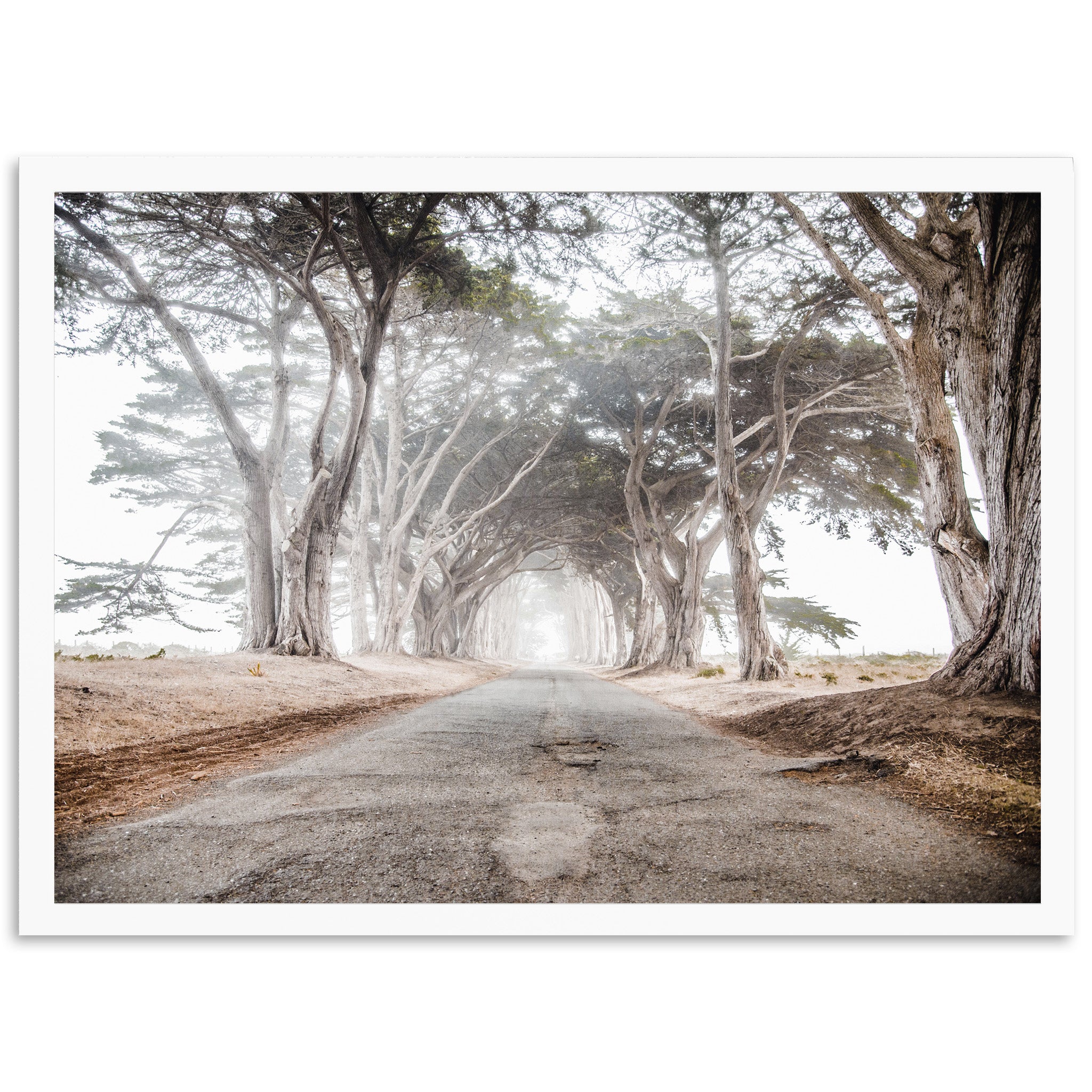 Tunnel Vision - Shutter and Frame