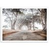 Tunnel Vision - Shutter and Frame