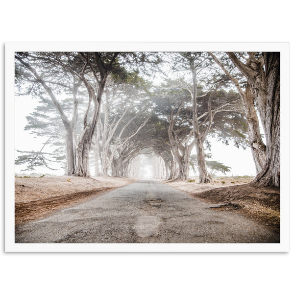 Tunnel Vision - Shutter and Frame
