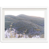 Lilac Bloom - Shutter and Frame