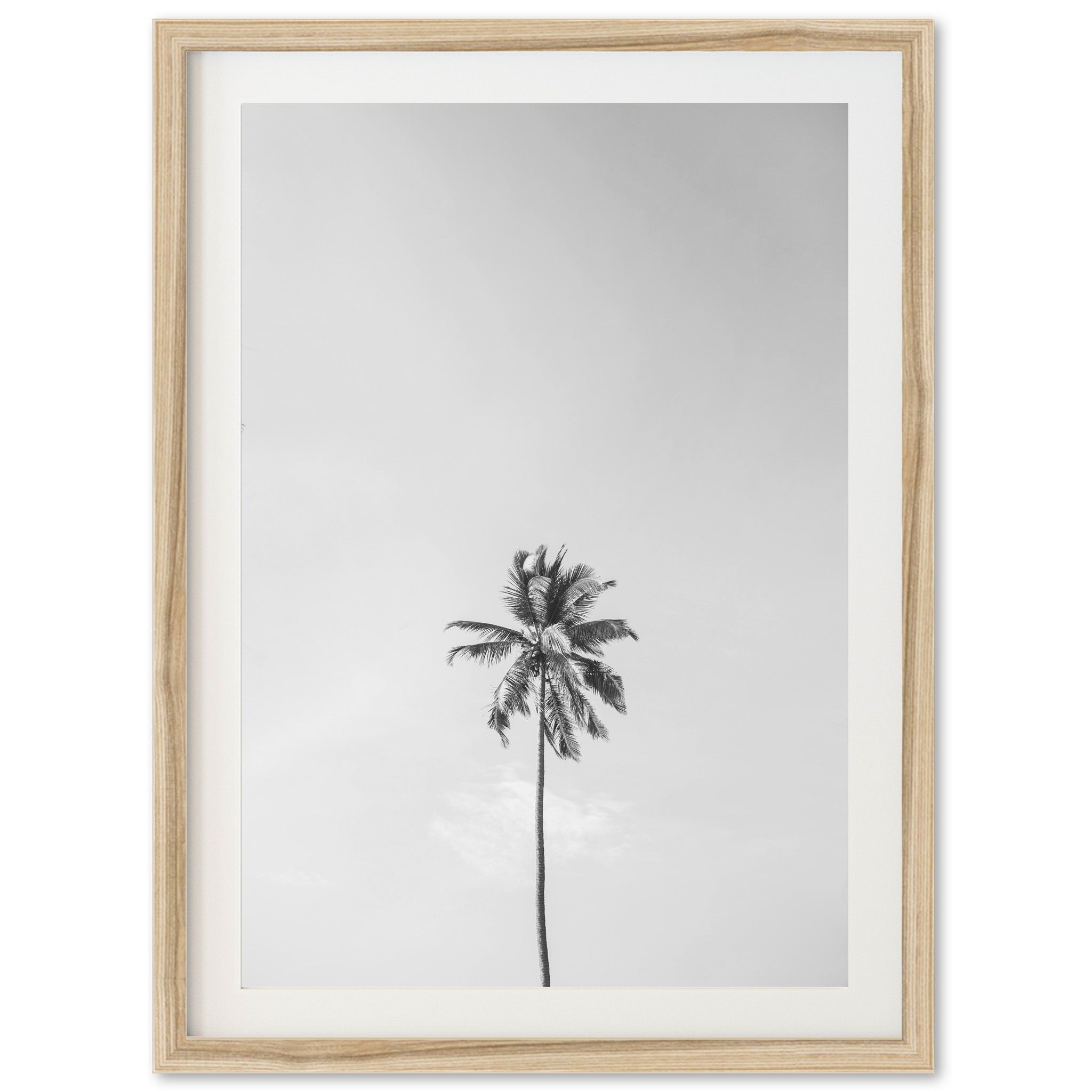 One Palm - Shutter and Frame
