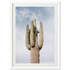 El Saguaro - Shutter and Frame