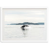Orca - Shutter and Frame