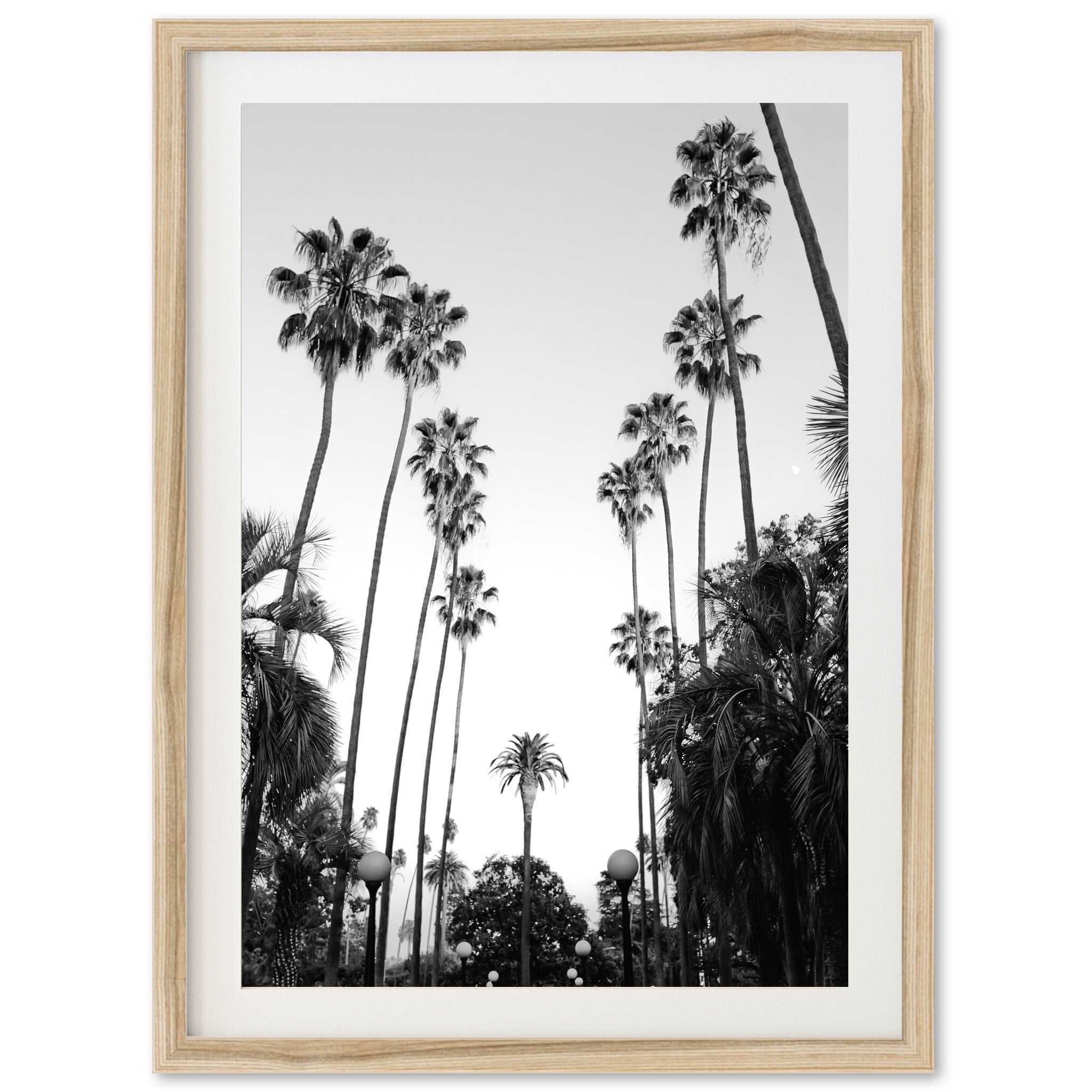 Beverly Hills II - Shutter and Frame