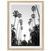 Beverly Hills II - Shutter and Frame