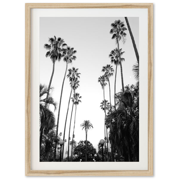 Beverly Hills II - Shutter and Frame