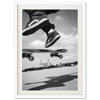 Ollie - Shutter and Frame