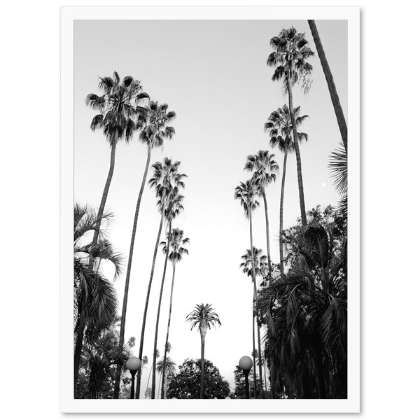 Beverly Hills II - Shutter and Frame