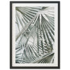 Palm Fan - Shutter and Frame