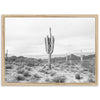 Sonora II - Shutter and Frame