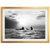 Sunset Session II - Shutter and Frame