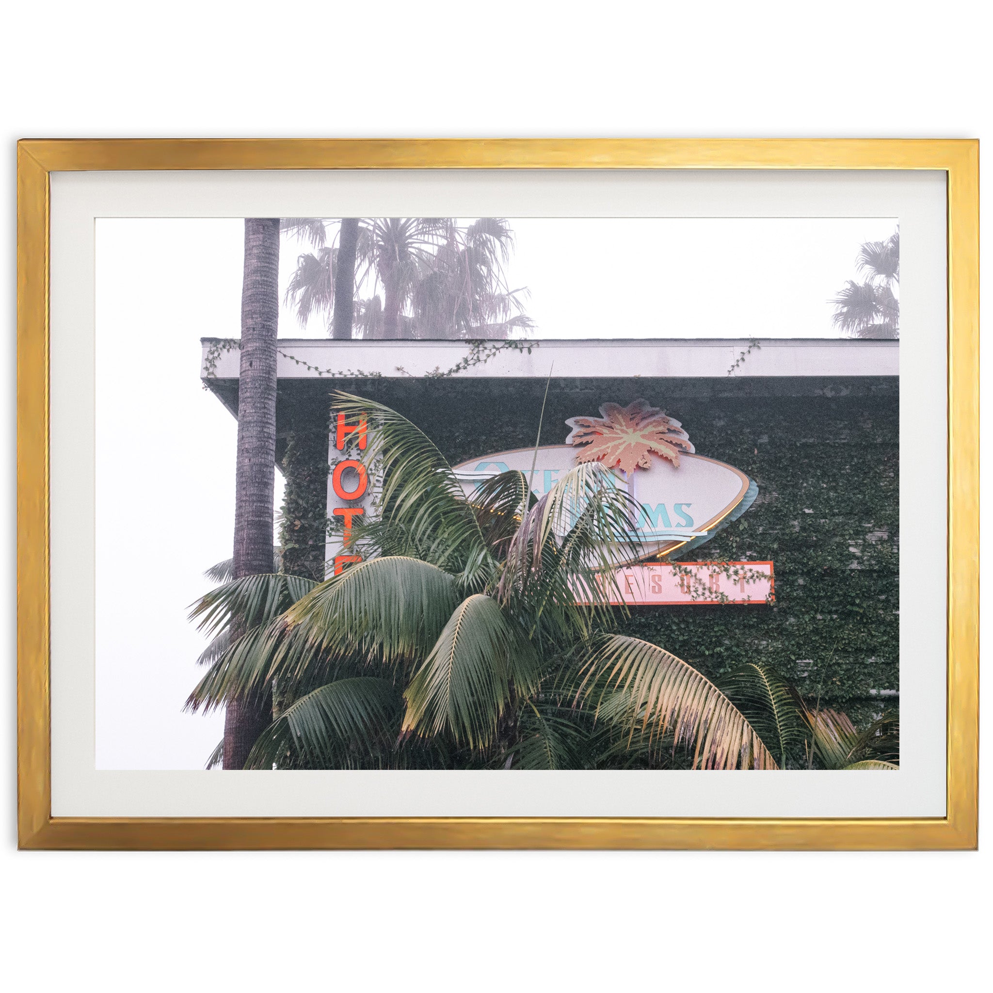 Beach Motel - Shutter and Frame