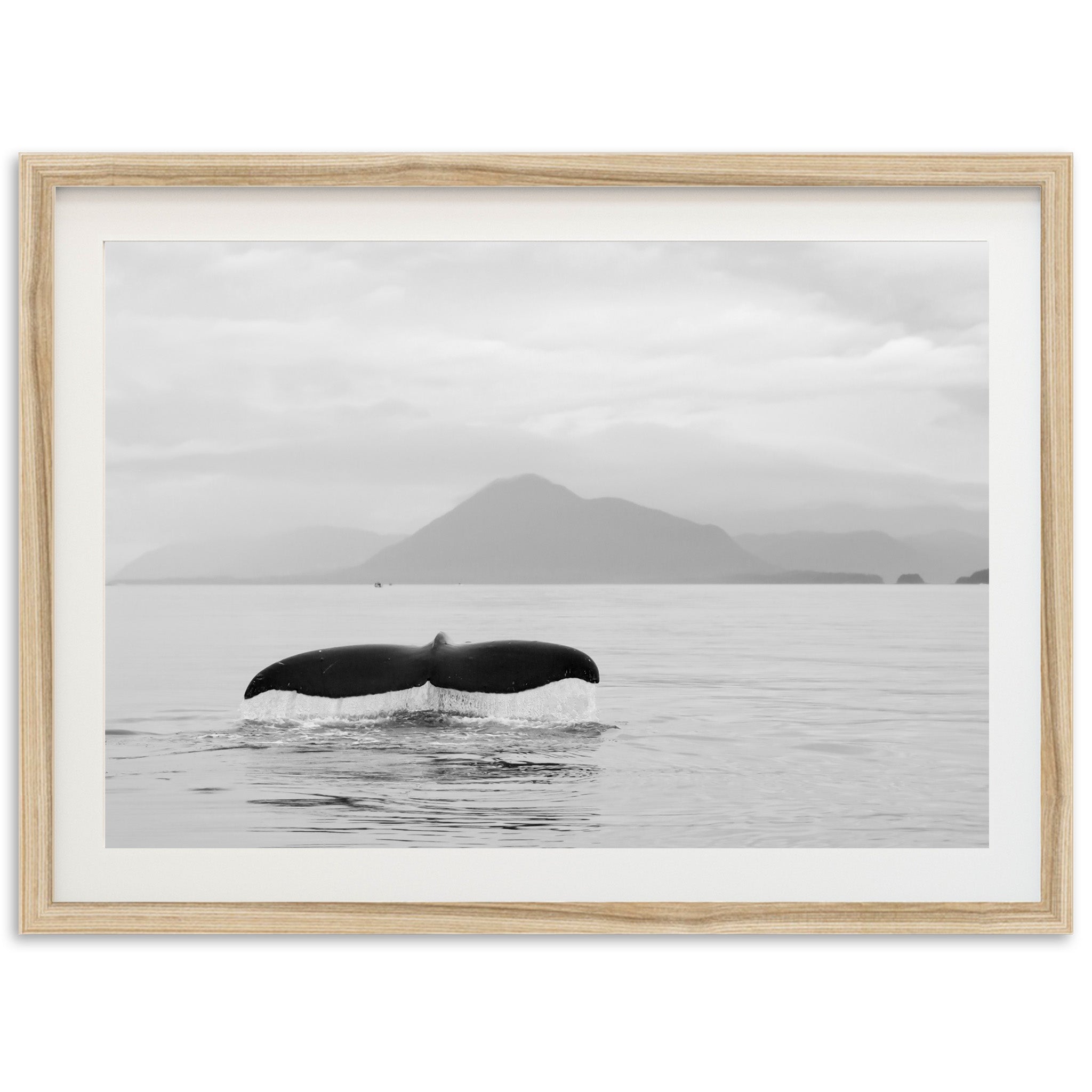 Tale of a Whale - Shutter and Frame
