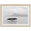 Tale of a Whale - Shutter and Frame