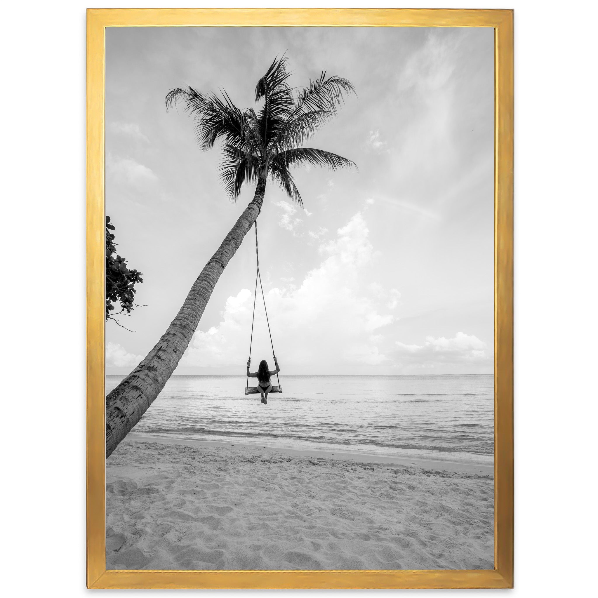 Palm Swing II - Shutter and Frame