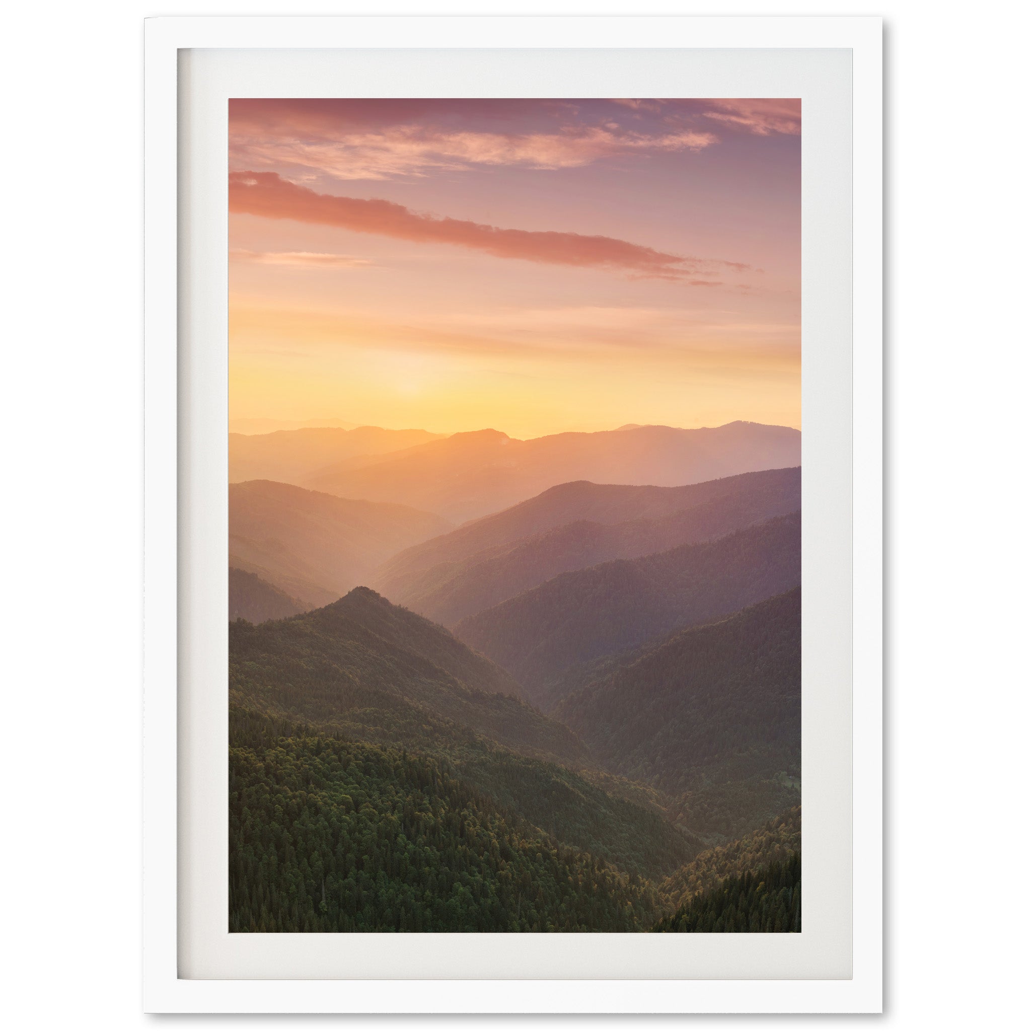 Valley Rising - Shutter and Frame
