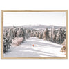 Snow Day - Shutter and Frame