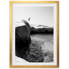 Escapade II - Shutter and Frame