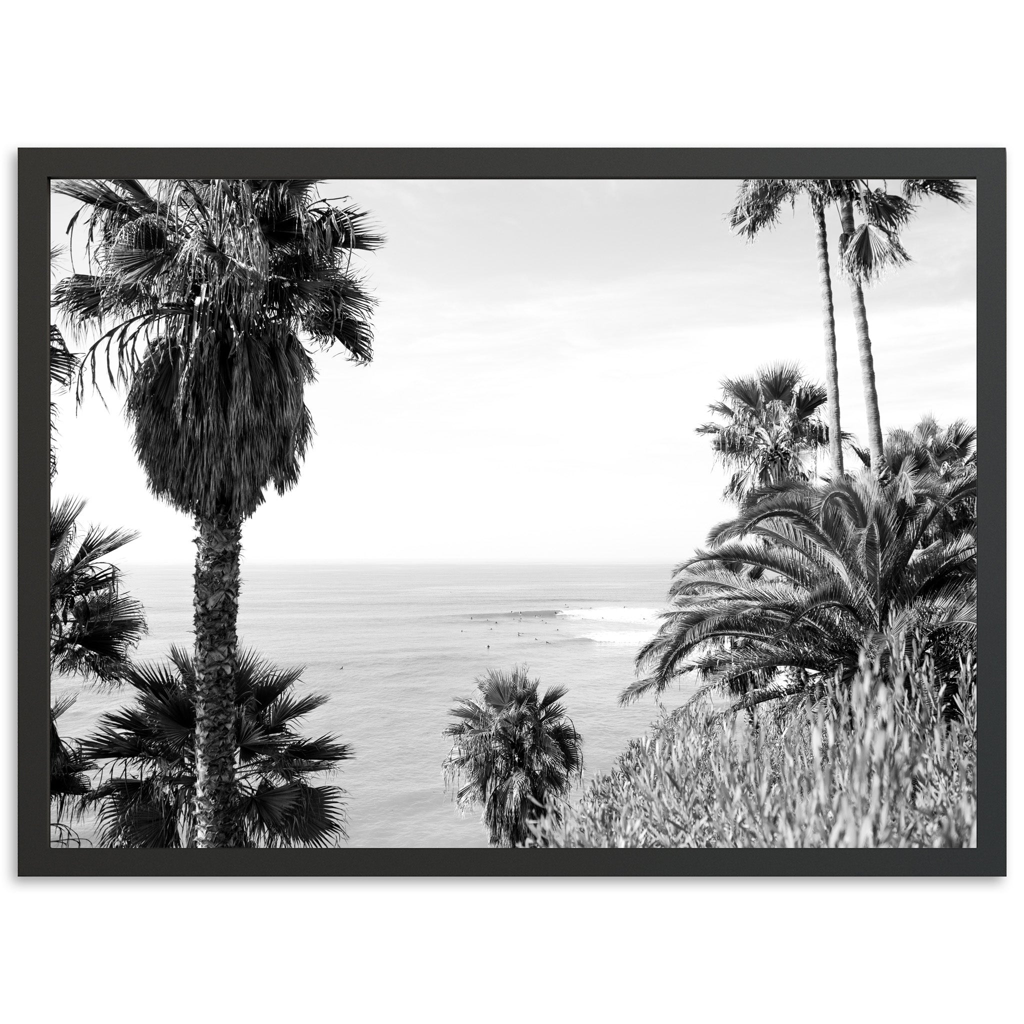 Swamis II - Shutter and Frame