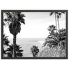 Swamis II - Shutter and Frame
