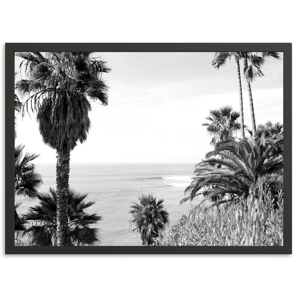 Swamis II - Shutter and Frame