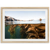 Kelp Forest - Shutter and Frame
