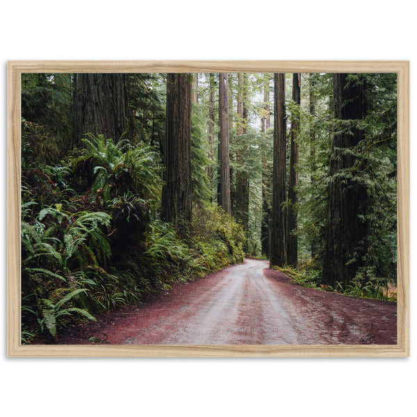 Redwood Road - Shutter and Frame