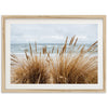 Boho Beach - Shutter and Frame